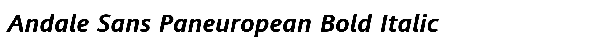 Andale Sans Paneuropean Bold Italic image